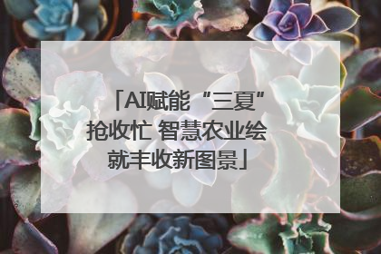 AI赋能“三夏”抢收忙 智慧农业绘就丰收新图景